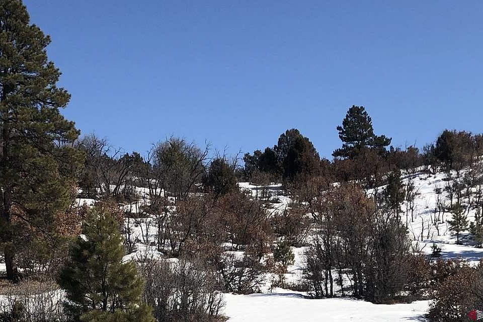 1st image of 291 Dylan Dr