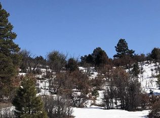 291 Dylan Dr, Pagosa Springs, CO 81147
