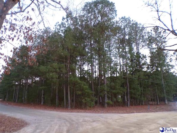 New Holly & Millwood, Dillon, SC 29536