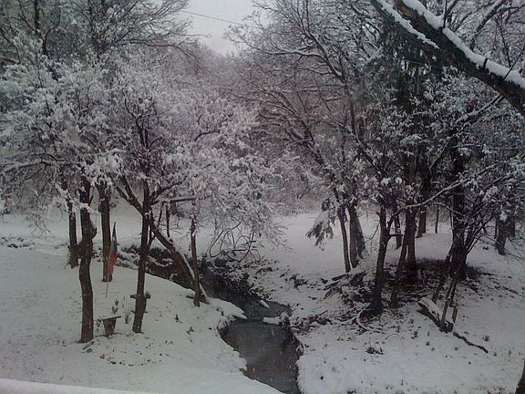 4th image of 3931 Twin Creek Dr