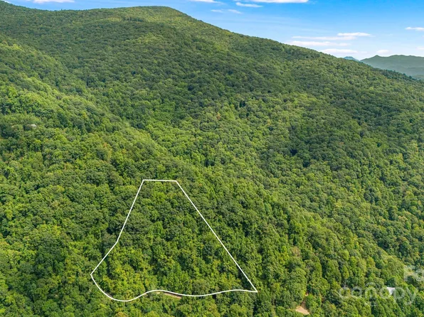 LOT 21 Cat Pen Br, Hot Springs, NC 28743