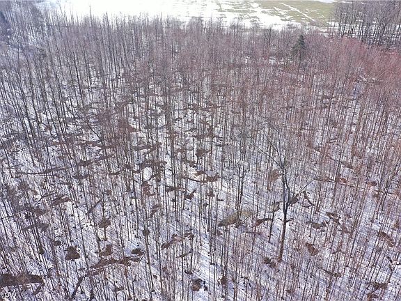 4th image of Adams Rd