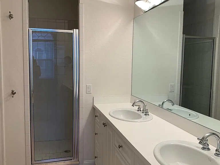 Master bath vanity and shower