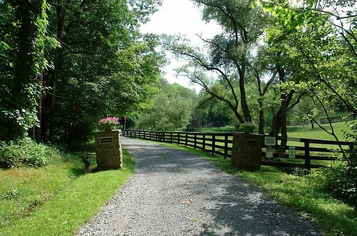 Chestnut Hollow Stables