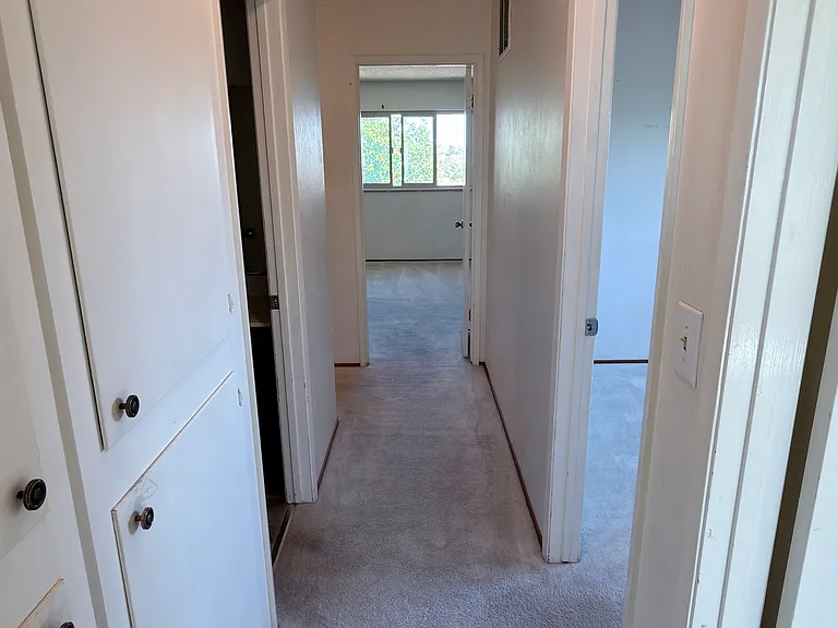3421 Bluejay Dr — Photo 8