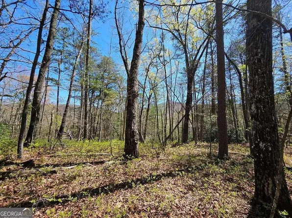 5.20 Deer Crest Rd, Blue Ridge, GA 30513