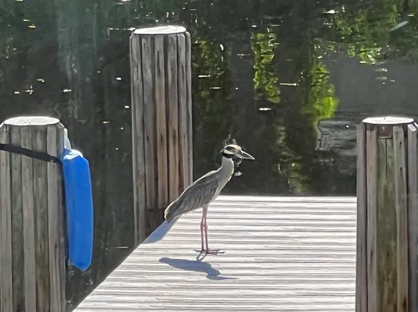 4836 Bethel Creek Dr, Vero Beach, FL 32963