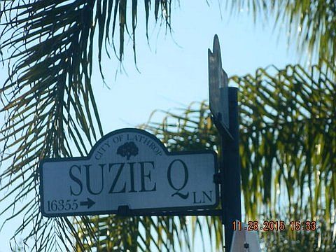 3rd image of 16331 Suzie Q Ln
