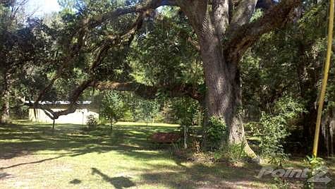 grand oaks