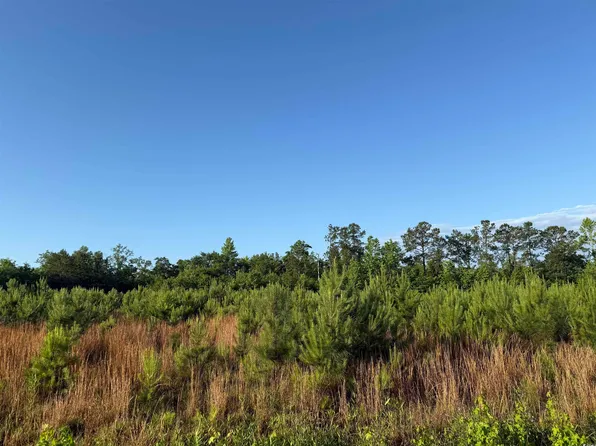 7 Acres-TBD Old Pee Dee Rd., Hemingway, SC 29554
