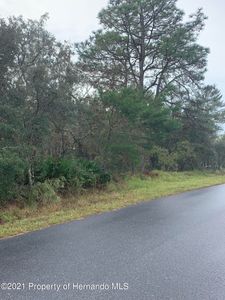 Ipswich Sparrow, Weeki Wachee, FL, 34614
