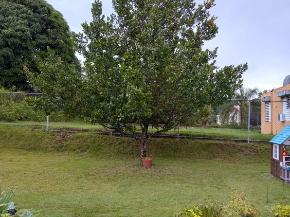 N/a Carr 414 Km 2.0 Int, Aguada, PR 00602