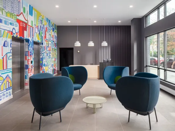 SOLO on Chestnut - 4233