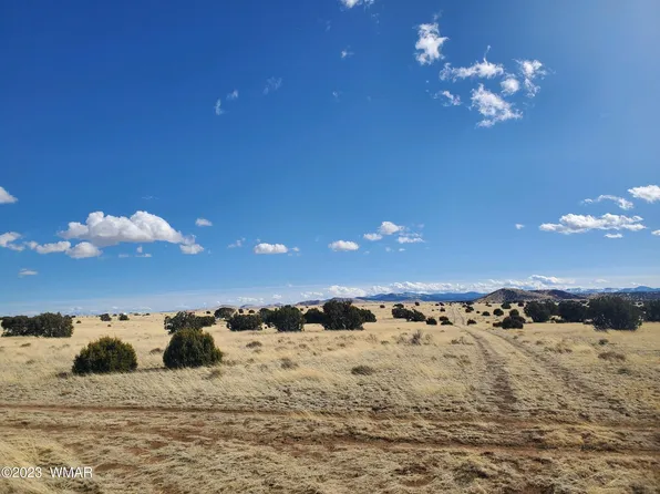 County Road 5110, Concho, AZ 85924