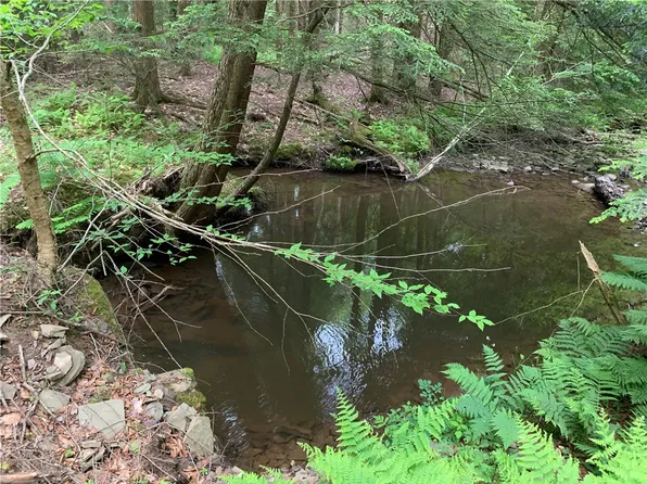 0 Windfall Rd, Genesee, PA 16923