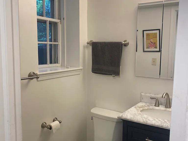 Bathroom on lower level
