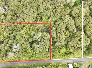 11-1733 Punawai Ave, Mountain View, HI 96771