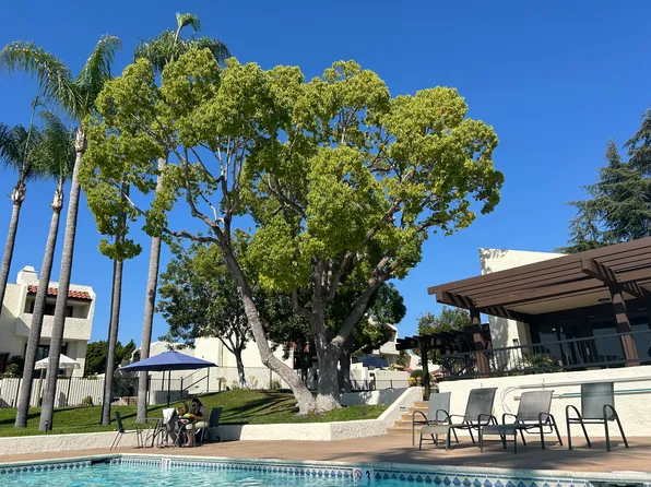 7386 Caminito Carlotta, San Diego, CA 92120