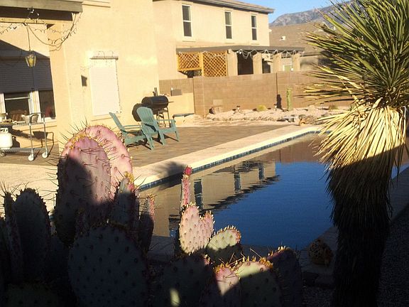 New pool and landscaping