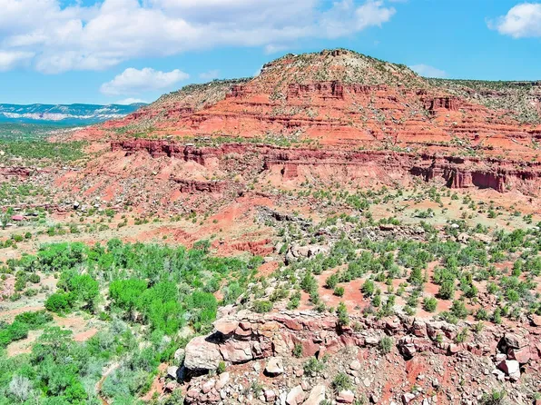 State Highway 96, Coyote, NM 87012