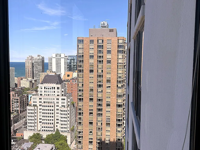 1122 N Clark St #3005 — Photo 16