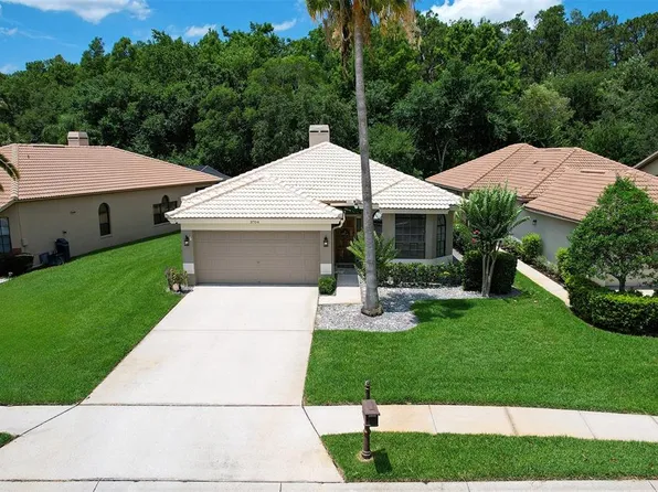 3704 Darston St, Palm Harbor, FL 34685