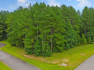 1001 Beak Rush Ct, Moncks Corner, SC 29461