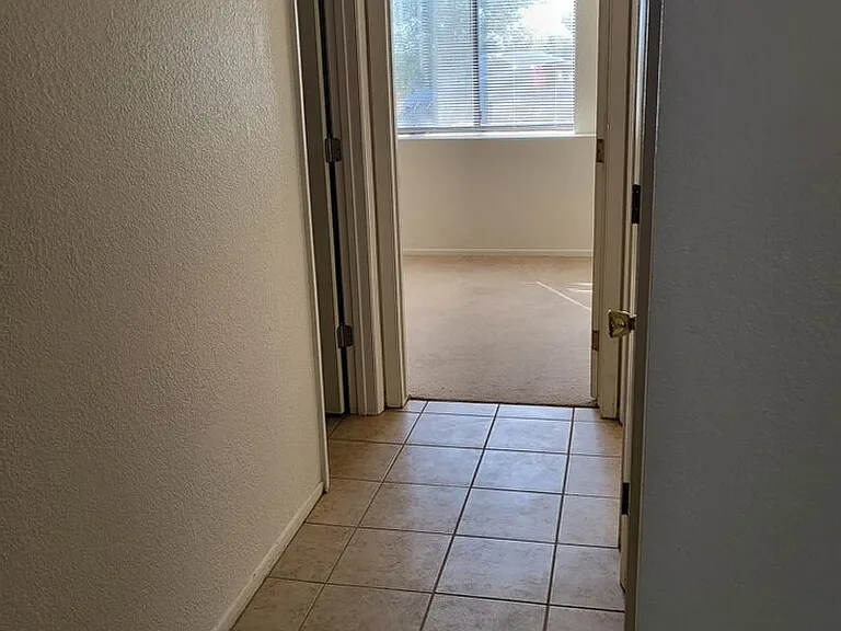 5560 Bowden Loop — Photo 5