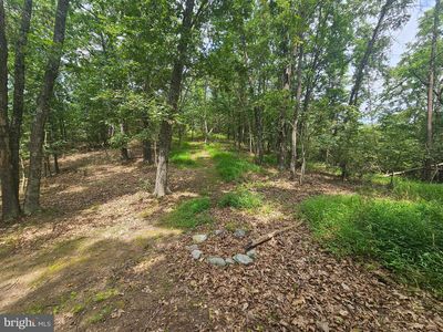Pine Way Rd, Romney, WV, 26757