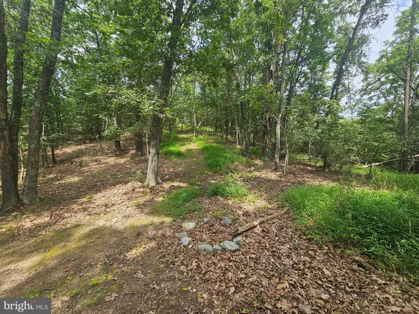 Pine Way Rd, Romney, WV 26757