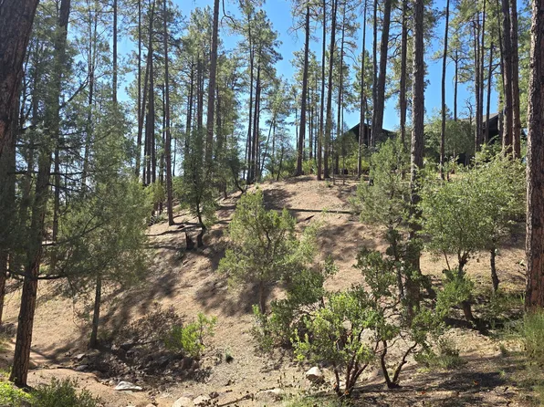 401 N Grapevine Drive #525, Payson, AZ 85541