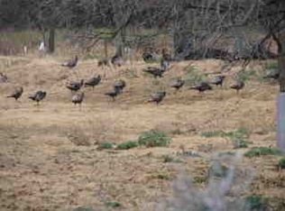 0 Fort, Menard, TX 76859