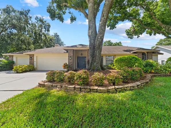 6202 Iroquois Ct, Odessa, FL 33556