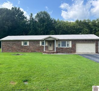 155 Erwin Cir, Ledbetter, KY, 42058