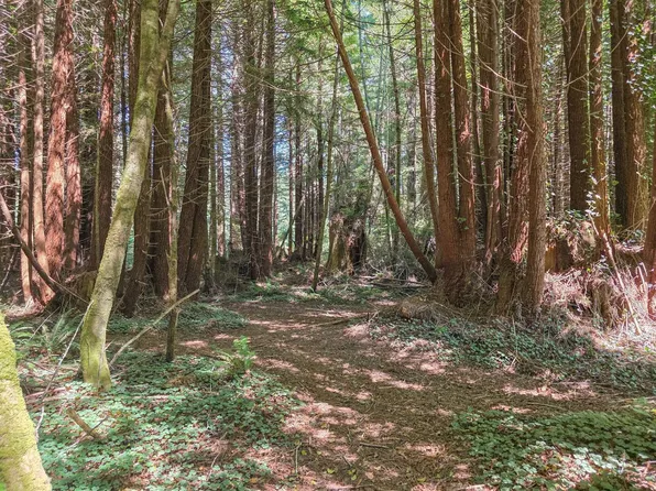 200 Joseph Ln, Crescent City, CA 95531