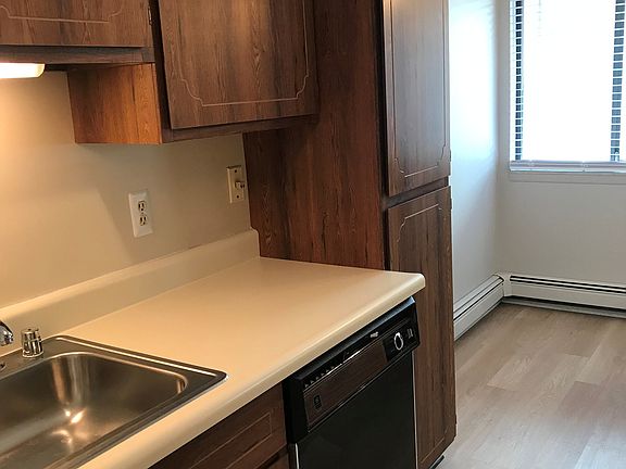 Kitchen dishwasher