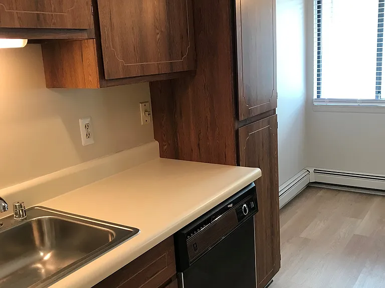Kitchen dishwasher