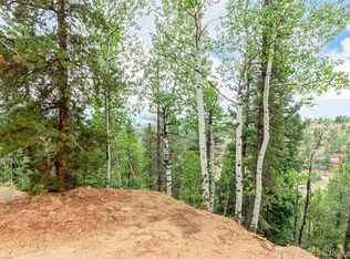 427 Wise Rd, Bailey, CO 80421
