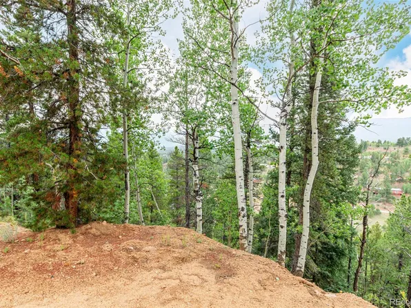 427 Wise Rd, Bailey, CO 80421