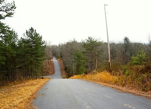 4th image of LOT 16 Brasstown