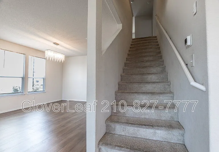 6823 Ashcat — Photo 14