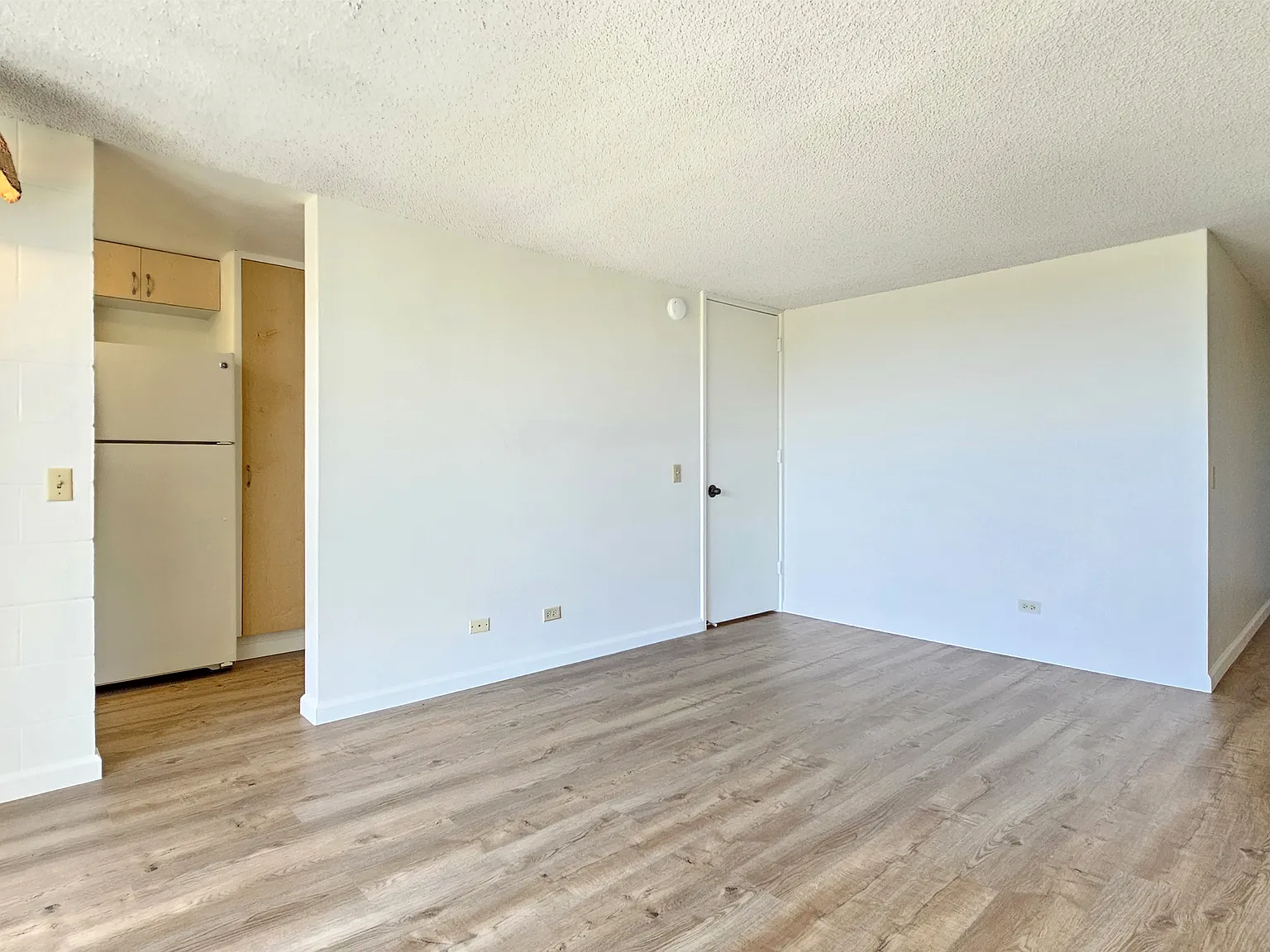 1 bed, 567 sqft, $2,100 — Photo 3
