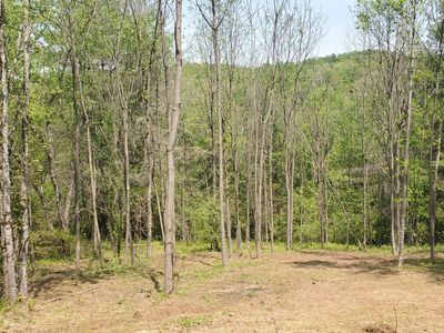 228 Ginger Tree Ln, Franklin, NC, 28734