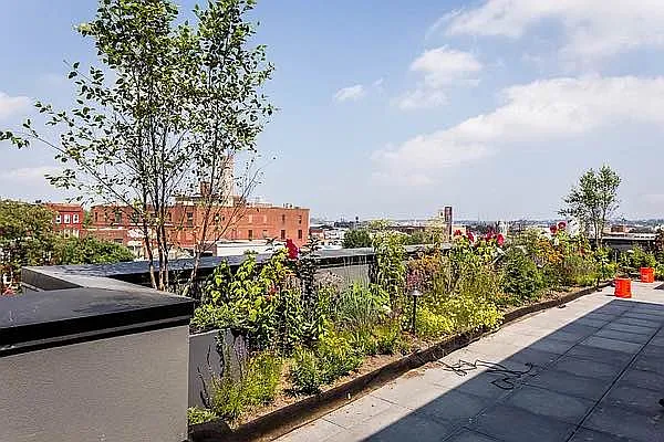 Rented by Rentopia | media 46