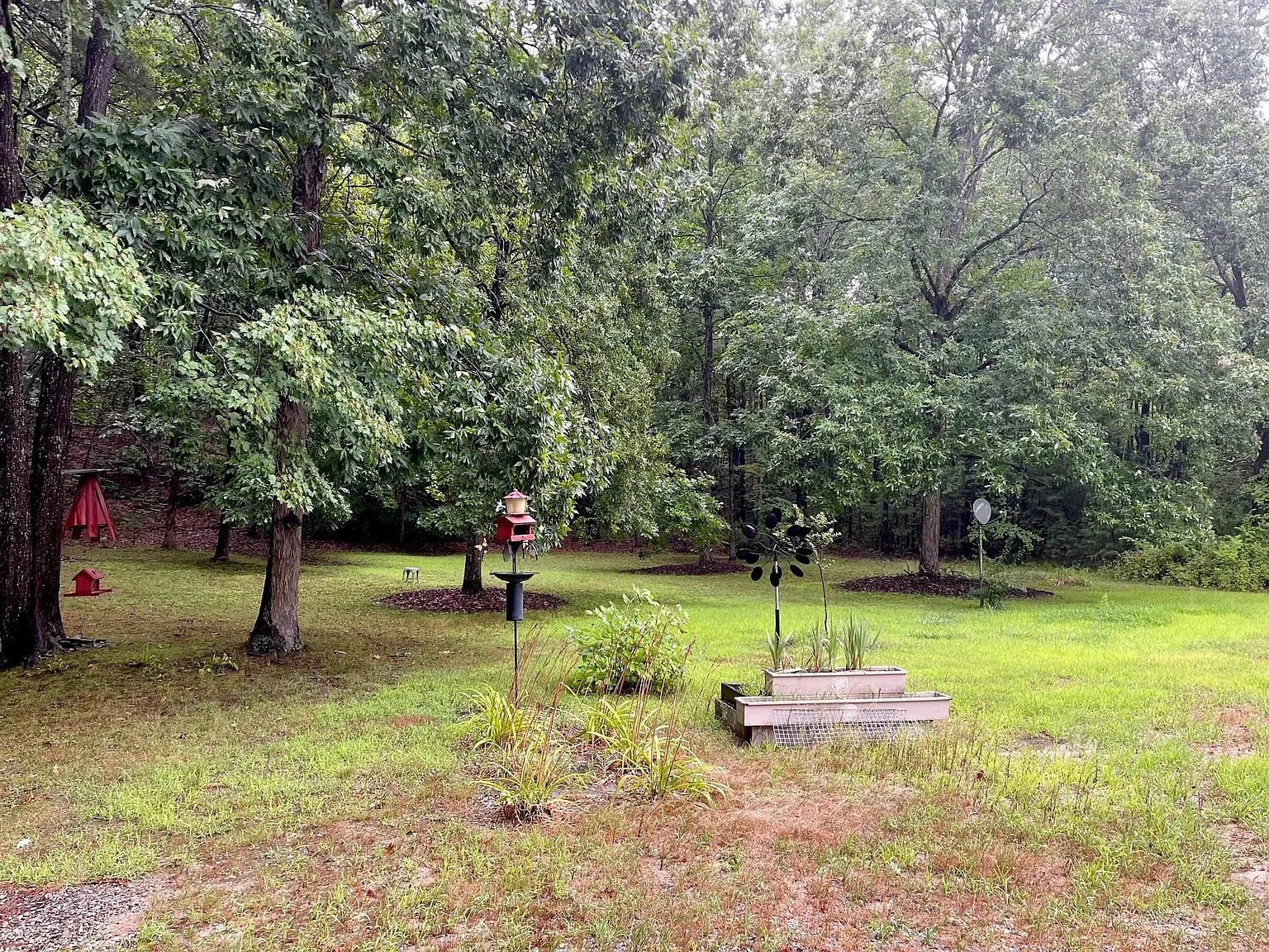 3 bed, 1150 sqft, $1,800 — Photo 2