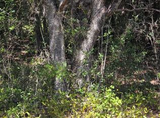 115 STREET ROAD LOT 18, OCKLAWAHA, FL 32179
