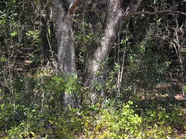 115 STREET ROAD LOT 18, OCKLAWAHA, FL 32179