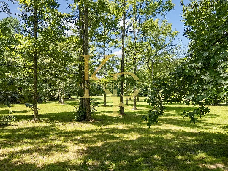 951 Walter Bright Rd — Photo 11