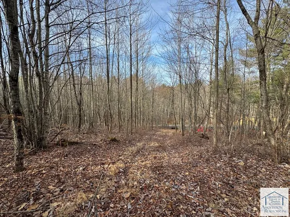 0 Shelor Rd, Meadows Of Dan, VA 24120