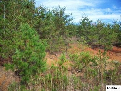 LOT 13 McGaha Chapel Rd, Cosby, TN, 37722